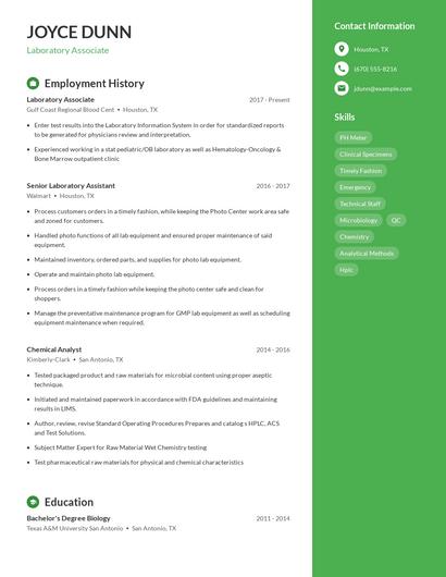 Resume example 5