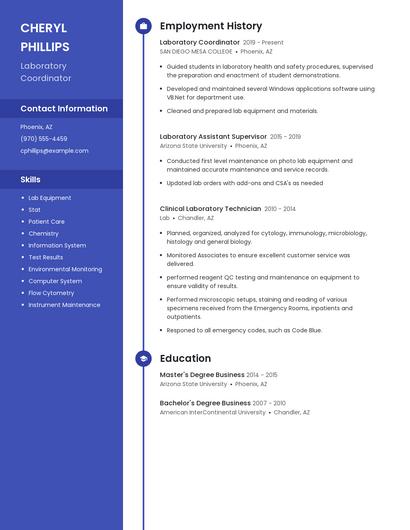 Resume example 5