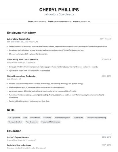 Resume example 2