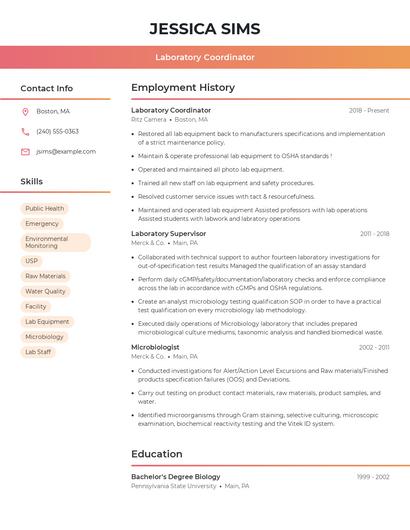 Resume example 3