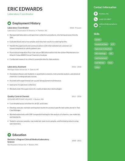 Resume example 4