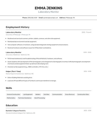 Resume example 2