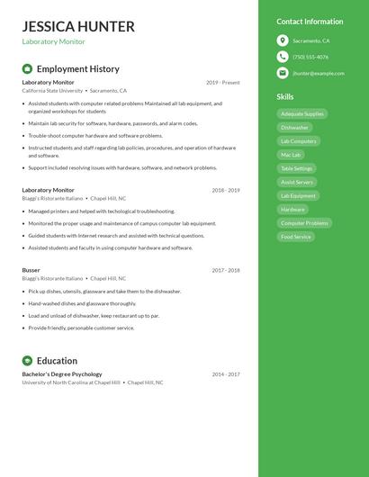 Resume example 4