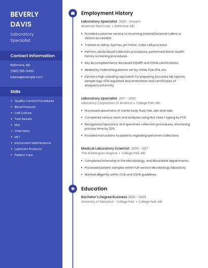 Resume example 5