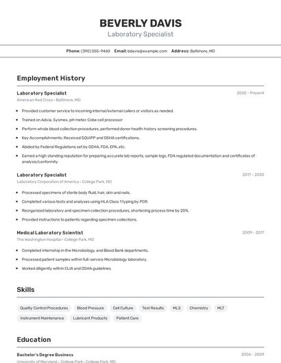 Resume example 2