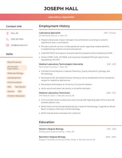 Resume example 3
