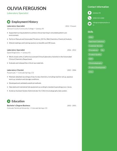 Resume example 4