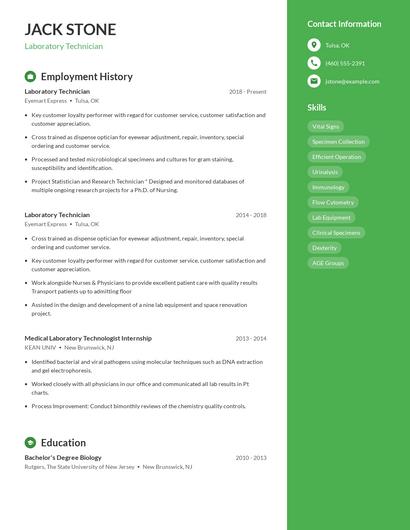 Resume example 4