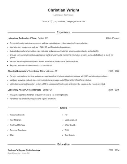 Resume example 1