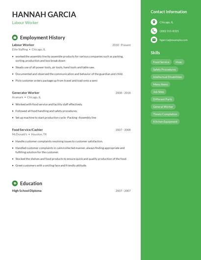 Resume example 4