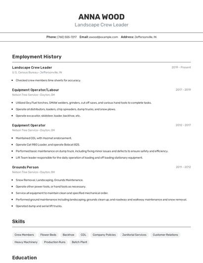 Resume example 2