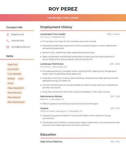 Resume example 3