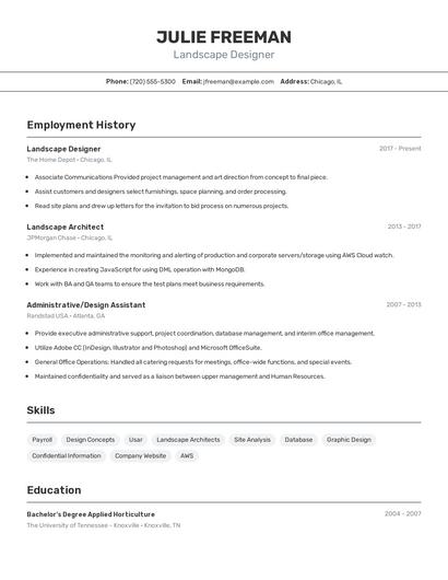 Resume example 2