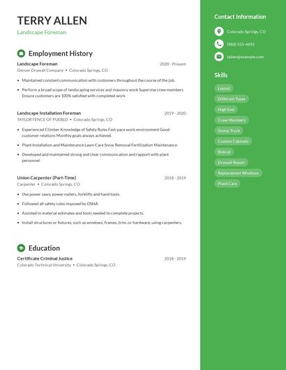 Resume example 5