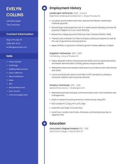 Resume example 5