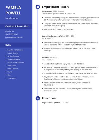 Resume example 4
