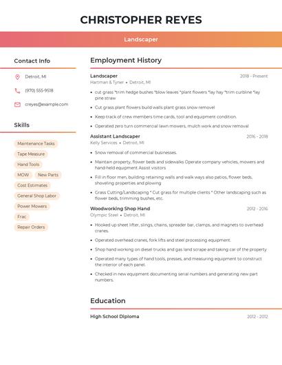 Resume example 3