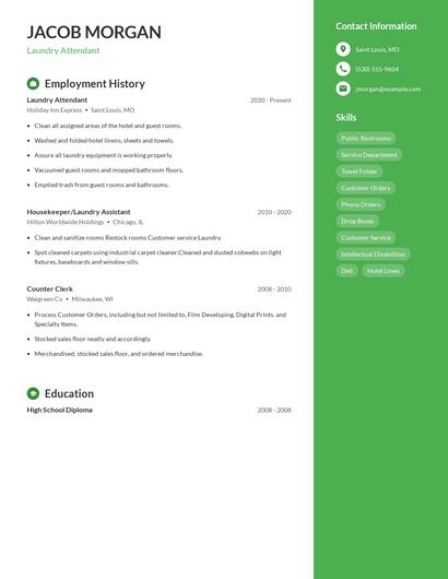 Resume example 4