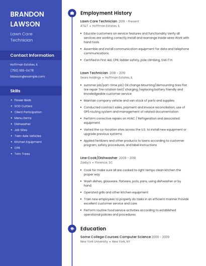 Resume example 5