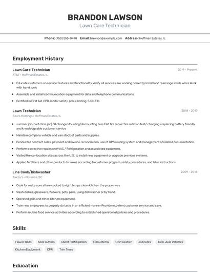 Resume example 2