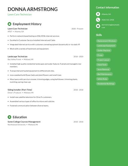 Resume example 4