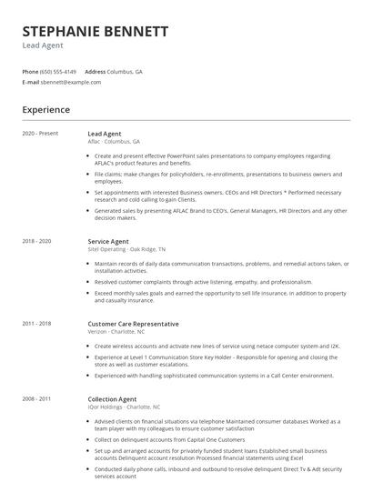 Lead Agent Resume