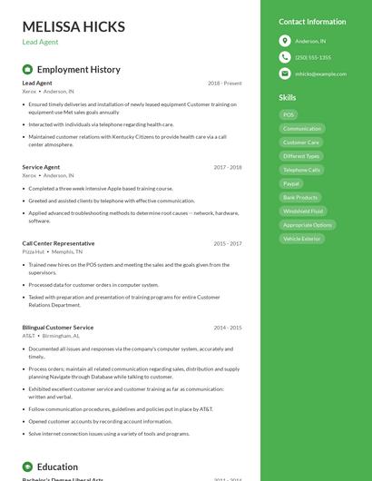 Resume example 4