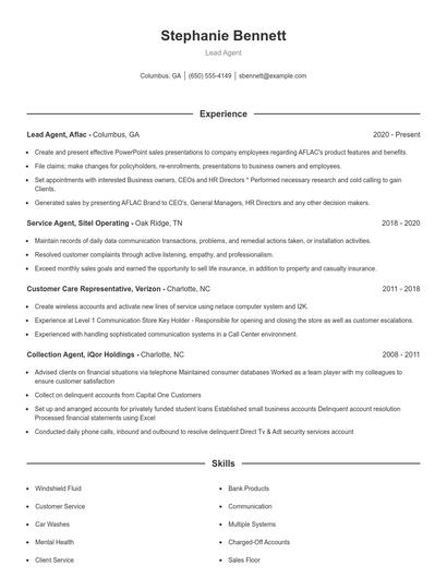 Resume example 1