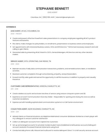 Lead Agent Resume