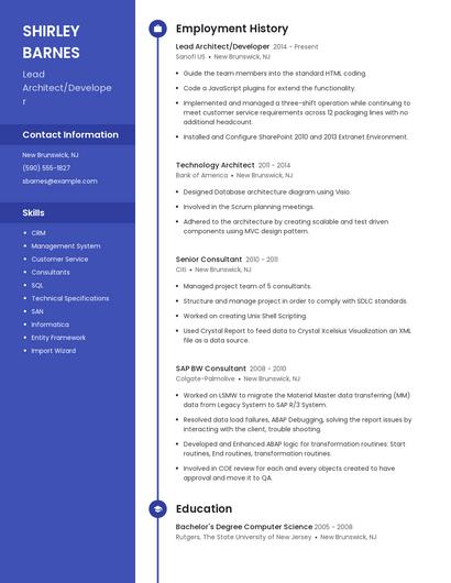 Lead Architect/Developer Resume