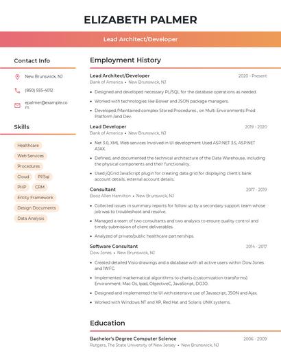 Lead Architect/Developer Resume