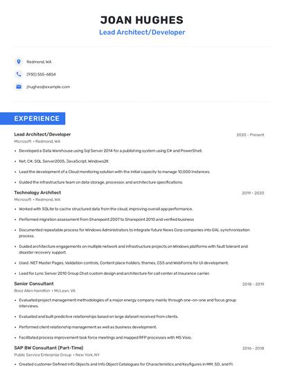Lead Architect/Developer Resume