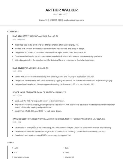 Lead Architect Resume