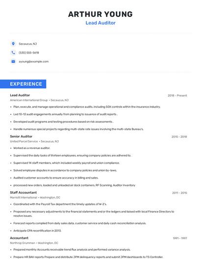 Lead Auditor Resume