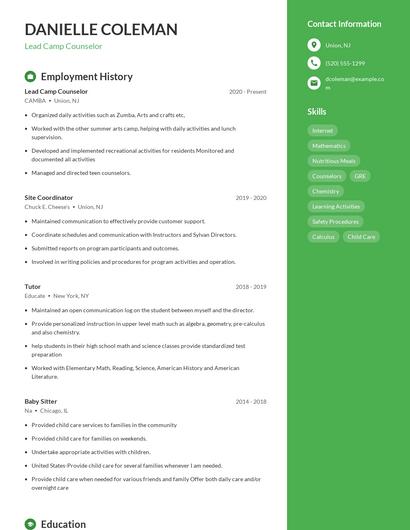 Lead Camp Counselor Resume