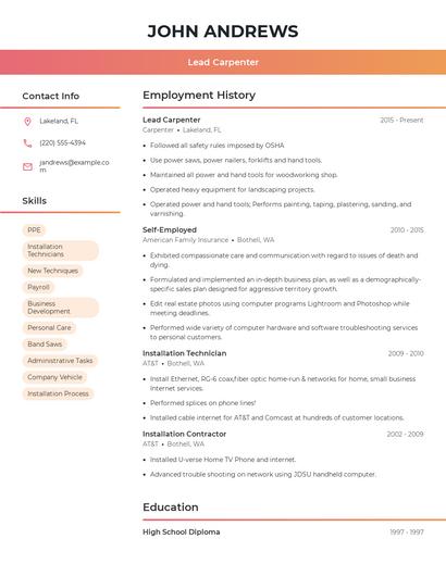 Resume example 3