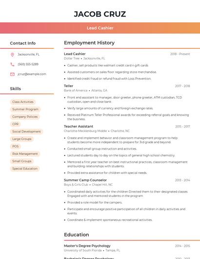 Resume example 3