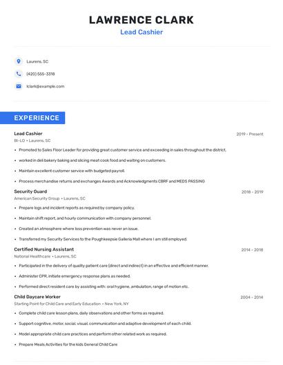 Lead Cashier Resume
