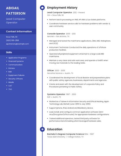 Resume example 5