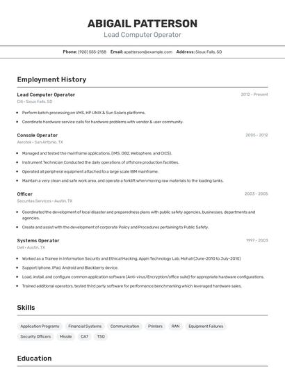 Resume example 2