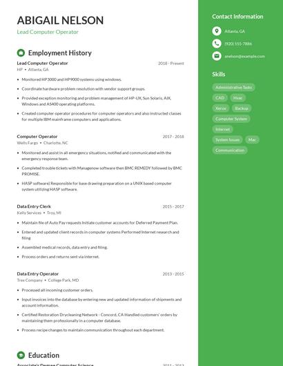 Resume example 4