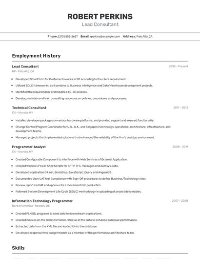 Resume example 2