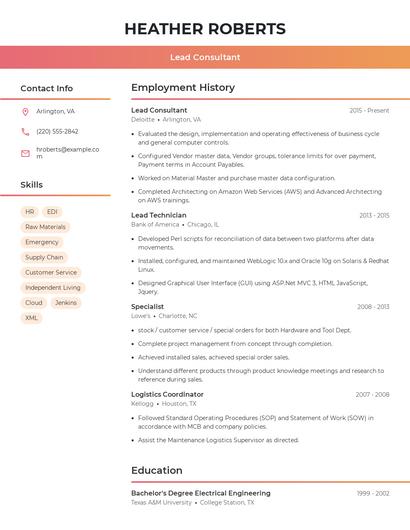 Resume example 3