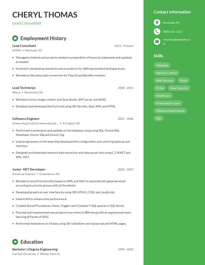Resume example 4