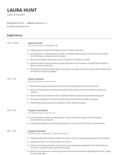 Lead Counselor Resume