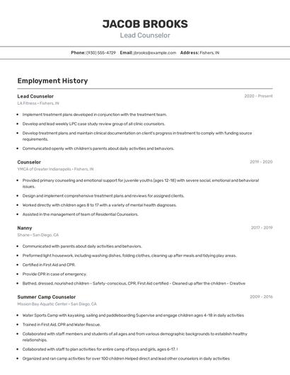 Lead Counselor Resume