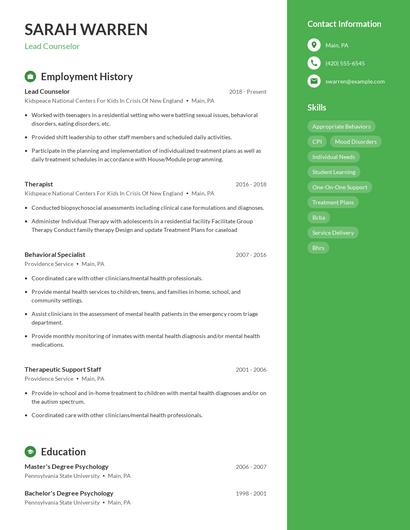 Lead Counselor Resume