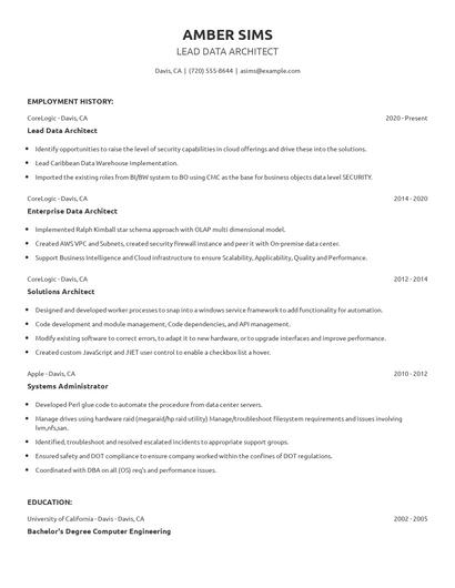 Lead Data Architect Resume