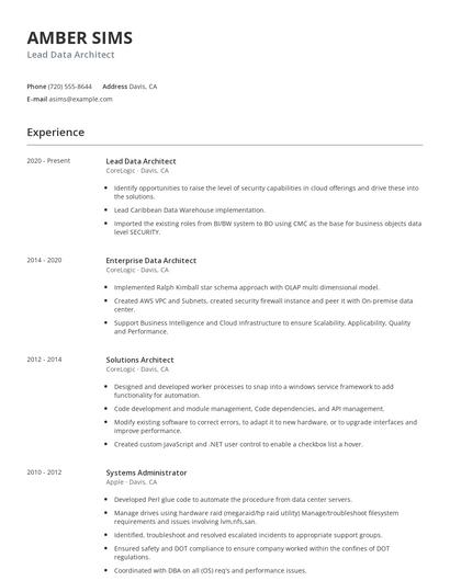 Lead Data Architect Resume