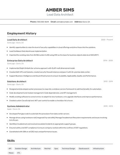 Lead Data Architect Resume